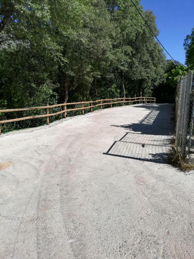 Alojamientos Rurales Vado Ancho La Encina Arroyo Frio Exterior photo